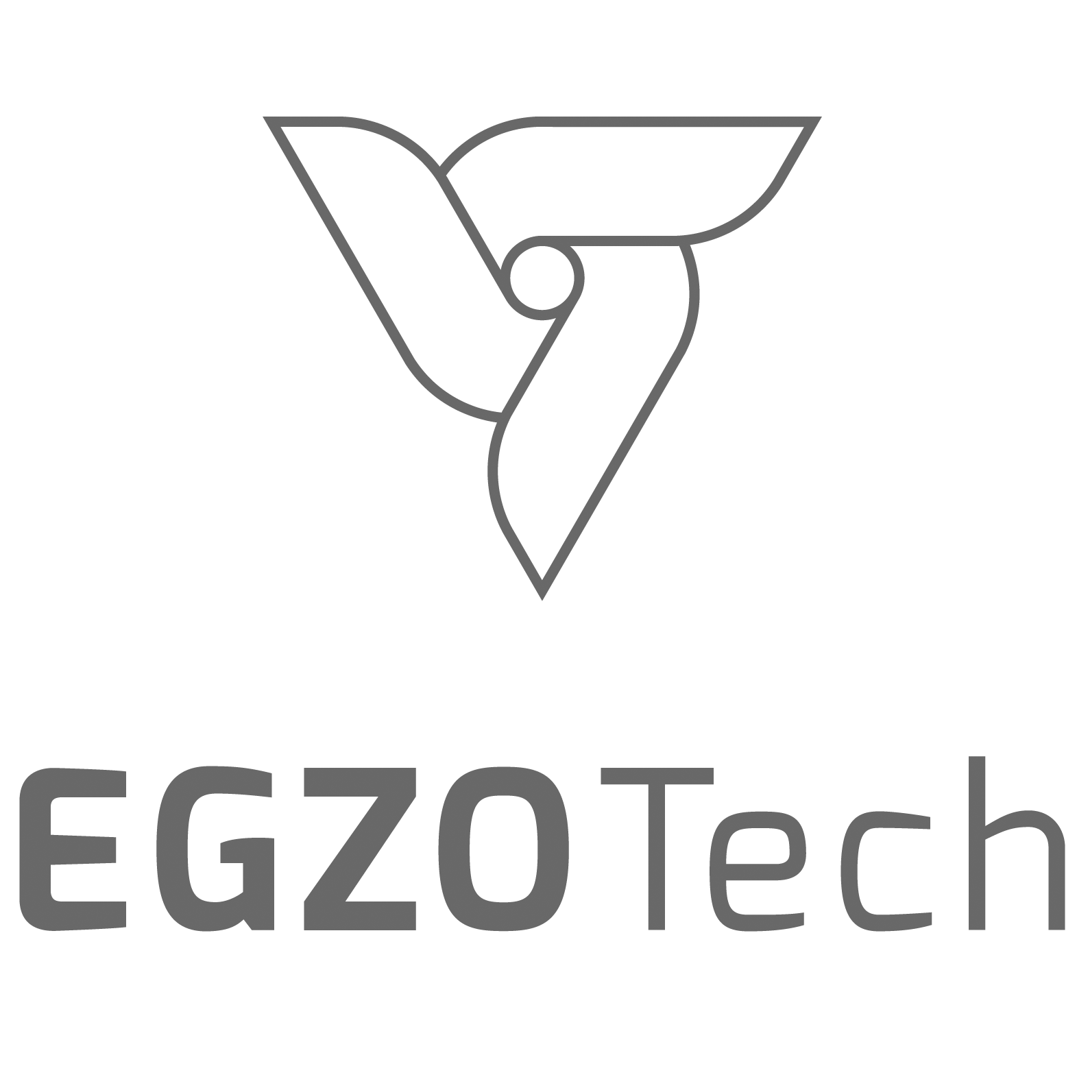 Logo EGZOTech