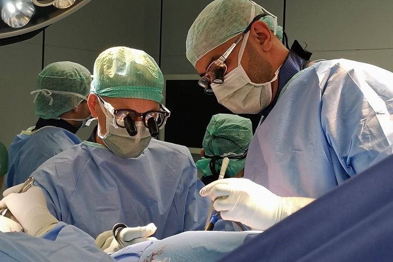 DAM Weiterbildungsakademie Mikrochirurgische Weiterbildung BG Klinik Ludwigshafen DAM Weiterbildungsakademie Mikrochirurgische Weiterbildung BG Klinik Ludwigshafen