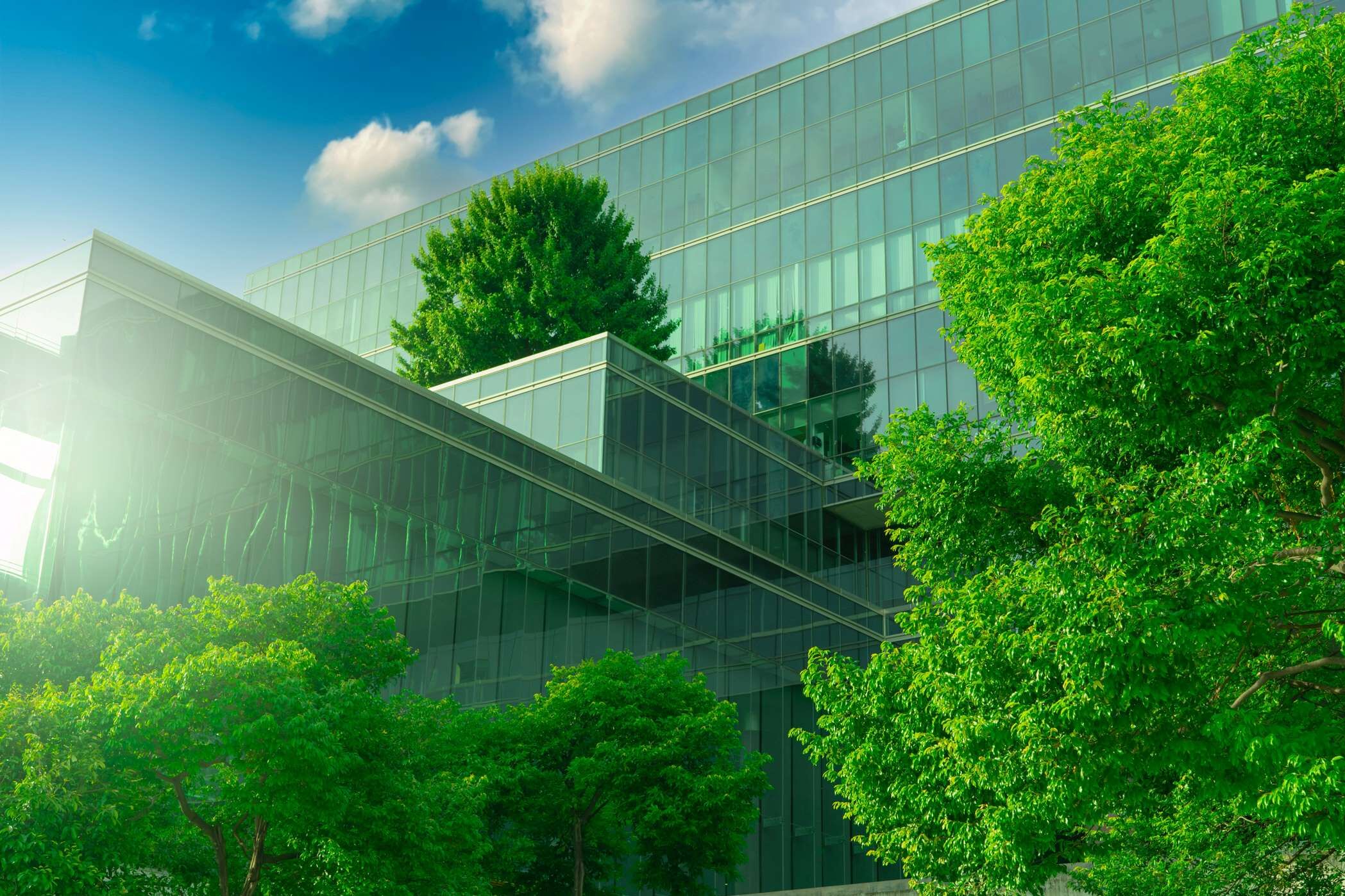 Klimaschutz bei den BG Kliniken (Bildnachweis: iStock / Fahroni) Laubbäume vor Bürogebäude