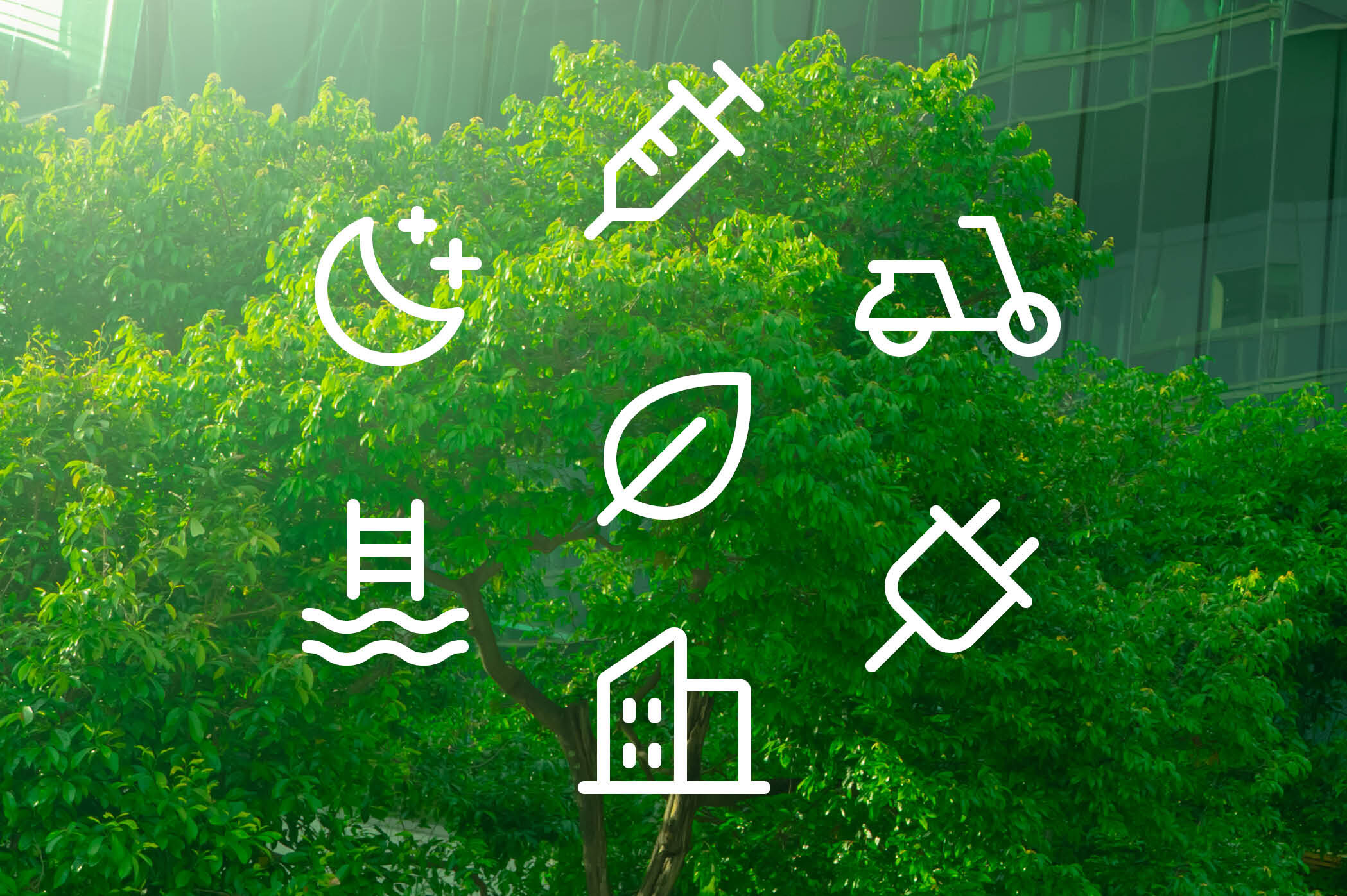Maßnahmen der BG Kliniken zum Klimaschutz Bilder Alttext