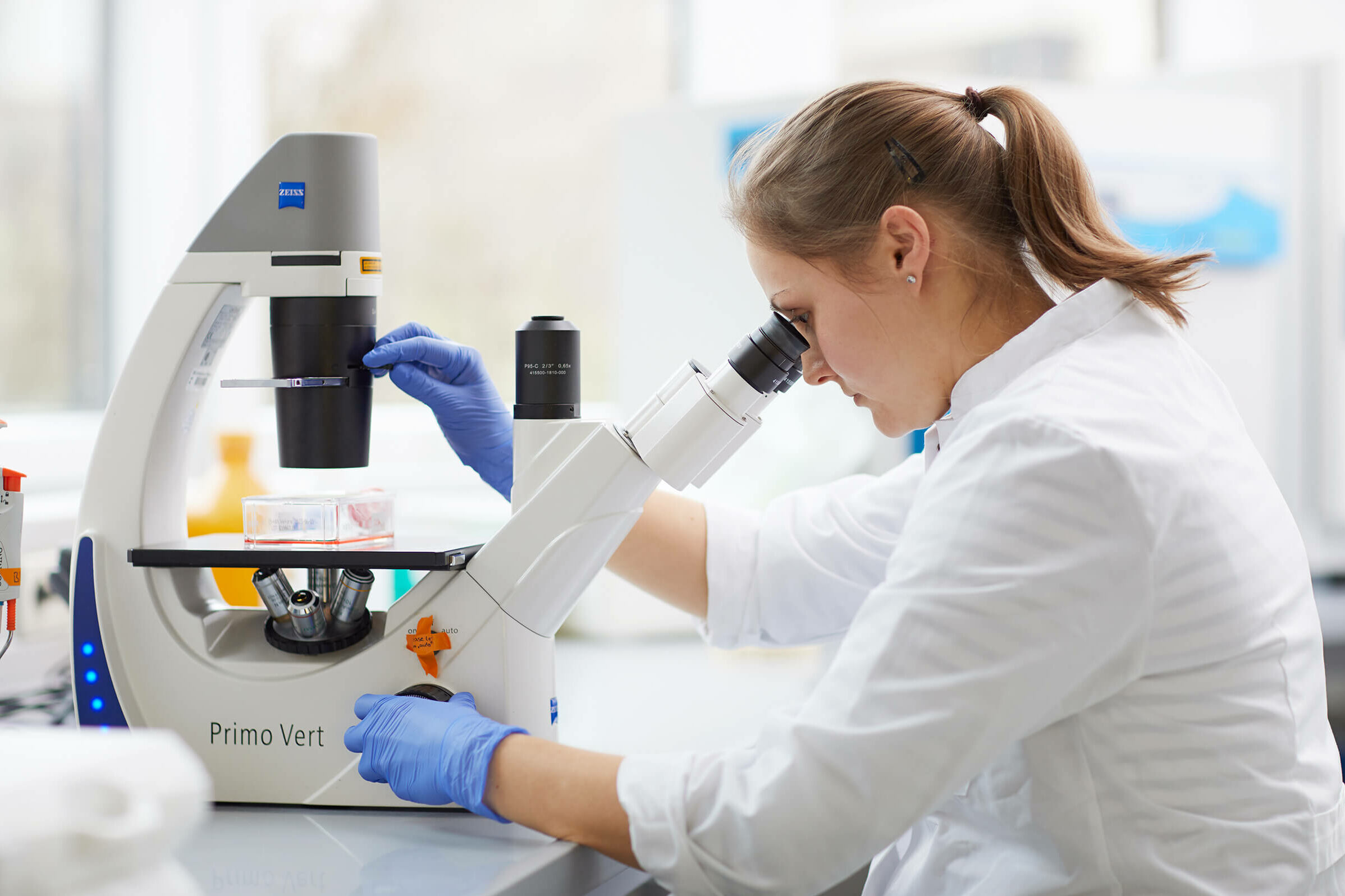 Forschung bei den BG Kliniken Eine Wissenschaftlerin untersucht eine Probe unter dem Mikroskop