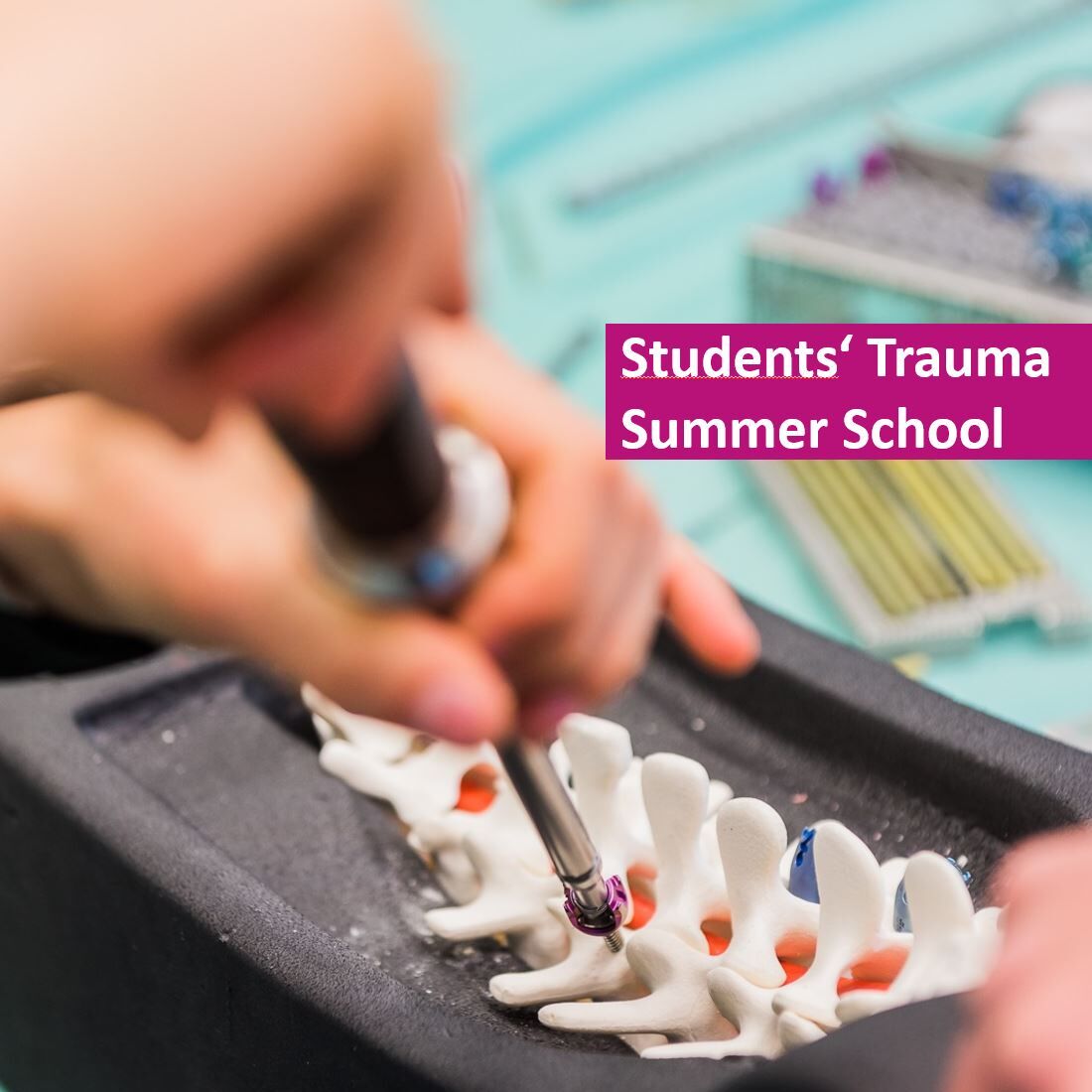 Students' Trauma Summer School