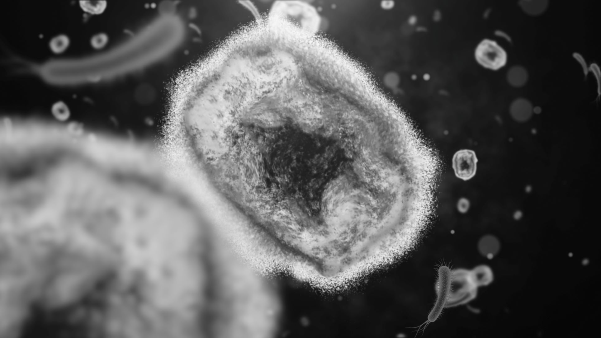 Affenpocken Virus (Monkeypox)