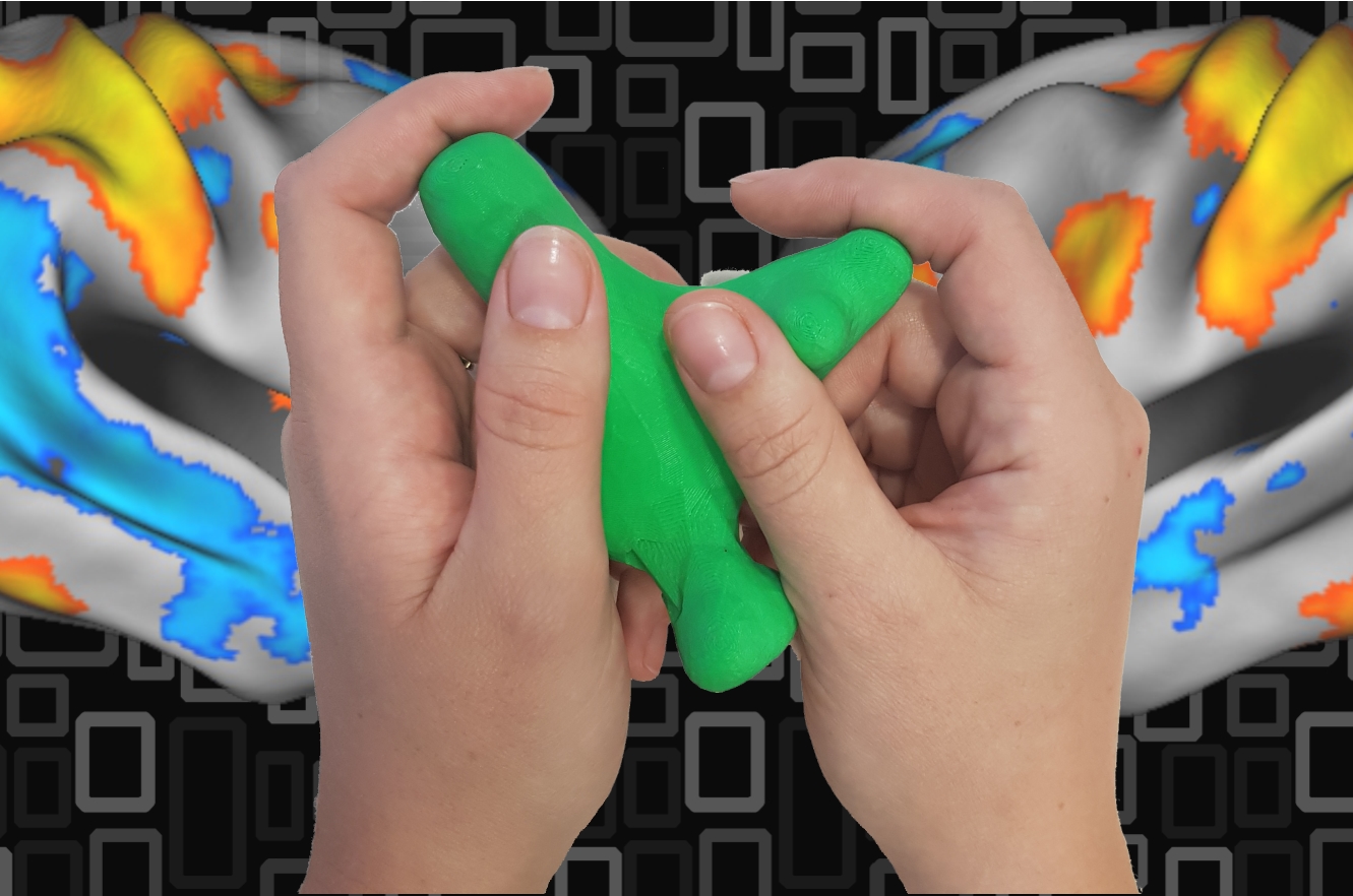 Hände ertasten ein ungewöhnlich geformtes 3-D-Objekt. Bildnachweis: Sepideh Tabrik Hände ertasten ein ungewöhnlich geformtes 3-D-Objekt. Bildnachweis: Sepideh Tabrik